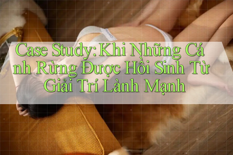 Case Study: Khi Những Cánh Rừng Được Hồi Sinh Từ Giải Trí Lành Mạnh Case Study: Khi Những Cánh Rừng Được Hồi Sinh Từ Giải Trí Lành Mạnh