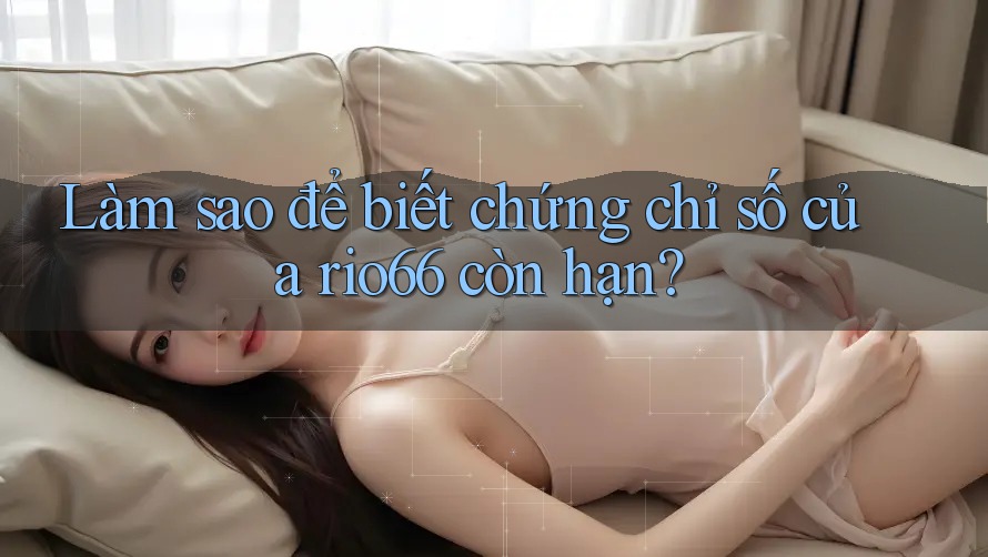 Làm sao để biết chứng chỉ số của rio66 còn hạn? Làm sao để biết chứng chỉ số của rio66 còn hạn?