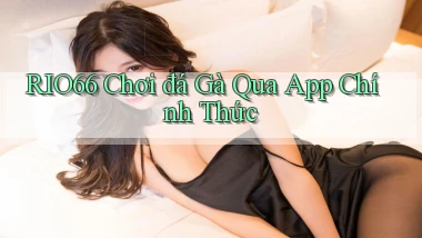 rio66  chơi đá gà qua app chính thức
