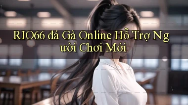 rio66  đá gà online hỗ trợ người chơi mới