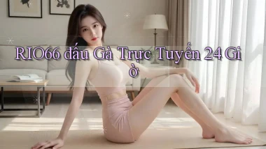 rio66  đấu gà trực tuyến 24 giờ