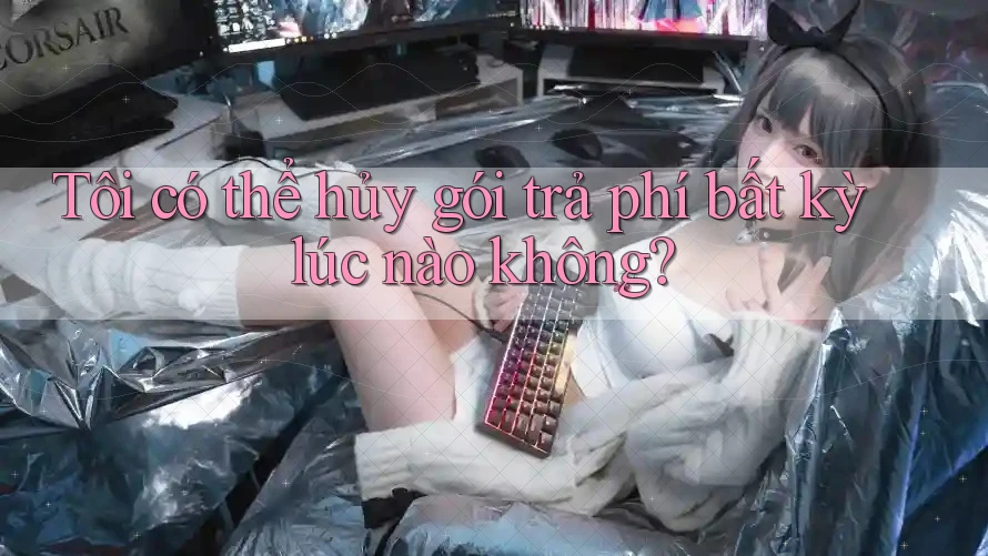 Tôi có thể hủy gói trả phí bất kỳ lúc nào không? Tôi có thể hủy gói trả phí bất kỳ lúc nào không?