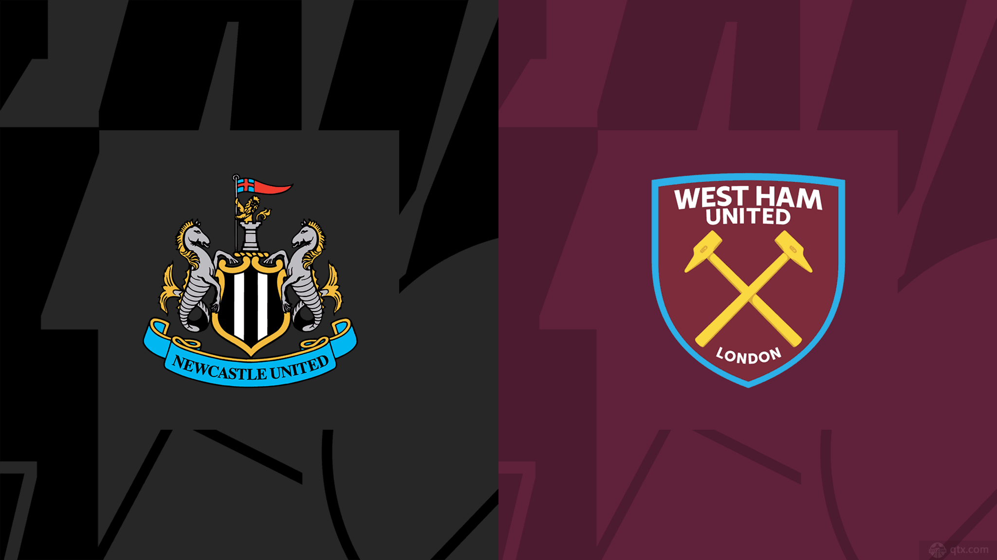 滑雪运动的 滑雪运动的